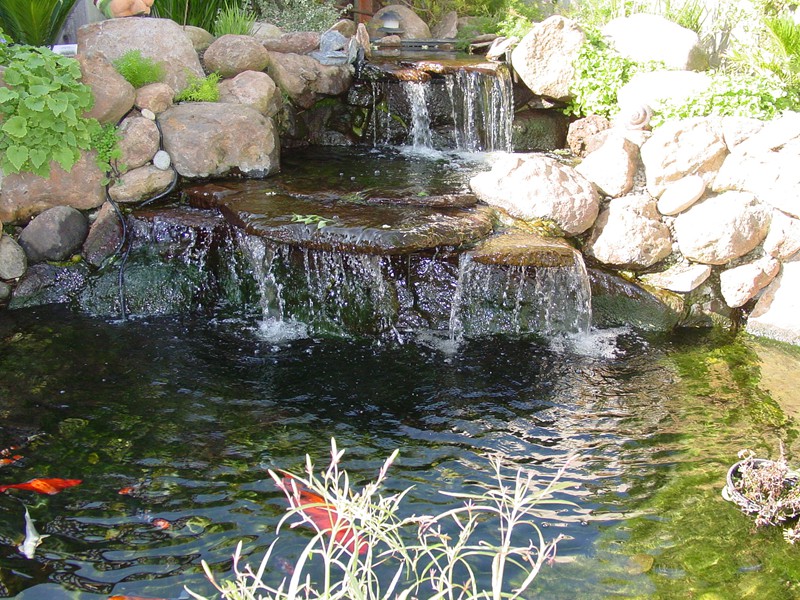 Santa Clara, CA tiered waterfall, fish pond, koi pond
