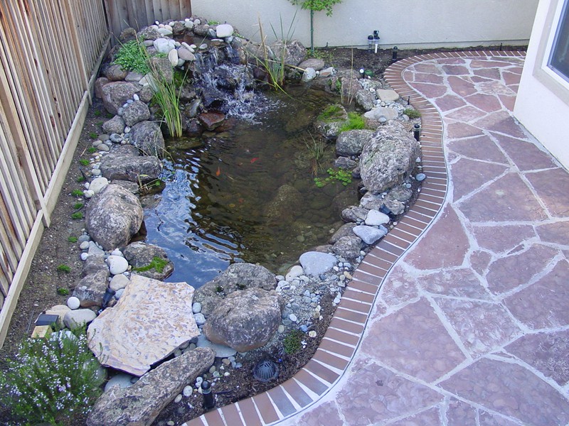 Mountain View, CA small pond, aquascape pond, pond next to deck
