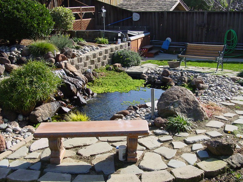 Los Gatos, CA pond near wall, small pond, aquascape pond