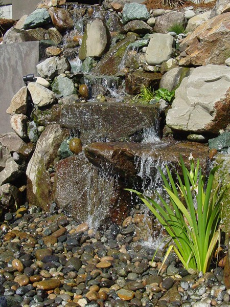 Pictures and inspiration for water features, koi ponds in the bay area