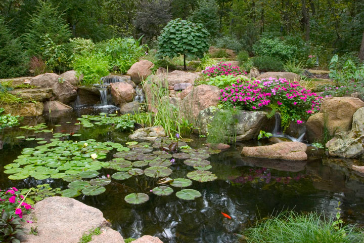 Pictures and inspiration for water features, koi ponds in the bay area