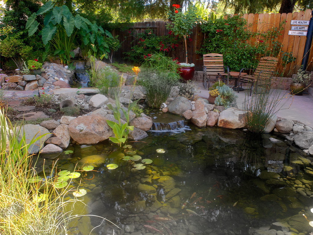 Pittsburg, CA fish pond, bridge rock, aquascape pond