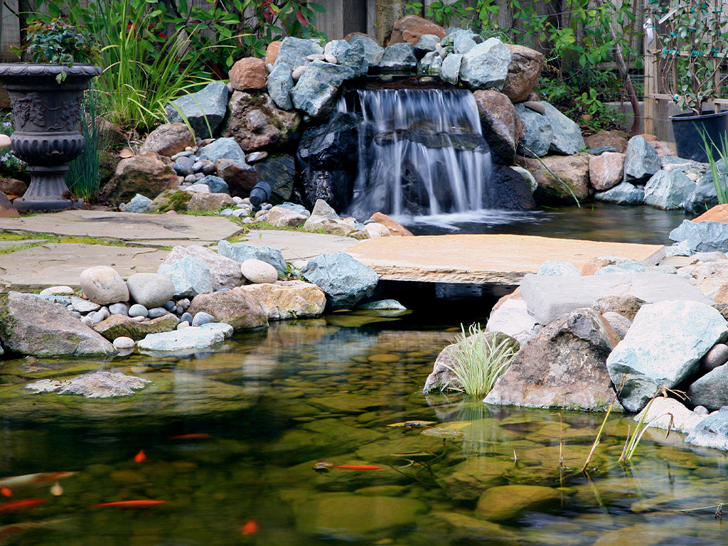 Brentwood, CA koi pond, flagstone bridge, water garden - do waterfalls oxygenate enough