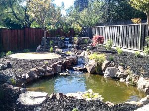 Koi Pond build in San Ramon CA - how to fix leaking concrete pond