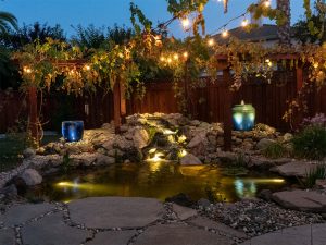 aquacape bacyard koi pond build in brentwood ca with vase foutains, water garden plants - pond automation technology