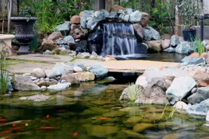 A pond with a waterfall installed by California Aqua Pros - how to build a koi pond