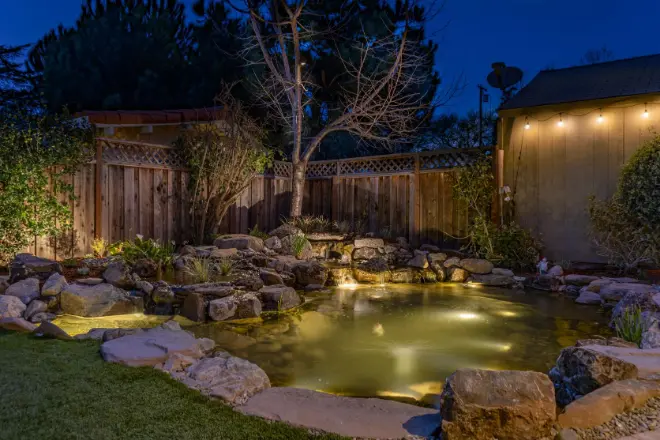 A koi pond in East Bay - pond algae