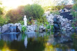 recreation pond with statue - recreation pond maintenance